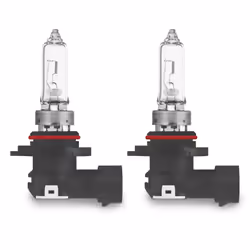 Osram 4008321863966, 65 V, 1 pièce(s)