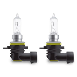 Osram 4008321863997 Ampoule électrique pour voiture