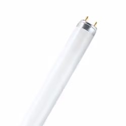 Osram L 16 W/830, 16 W, G13, T8, 20000 h, 1250 lm, Blanc chaud