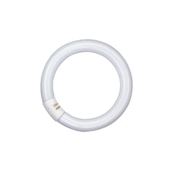 Osram L 40 W/865 G10Q ampoule fluorescente