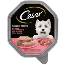 CESAR 4008429012617 pâtée pour chien Volaille, Veau Adulte 150 g