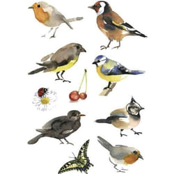 Sticker - HERMA - DECOR oiseaux aquarelle - Papier - Multicolore - Décoration murale
