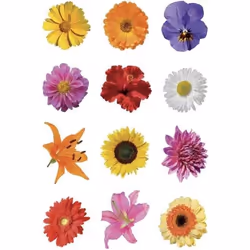 HERMA 3522, Papier, Multicolore, Permanent, 123 pièce(s), 3 feuilles
