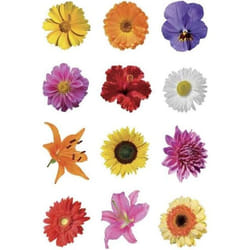 HERMA 3522 autocollant décoratif Papier Multicolore Permanent 123 pièce(s)