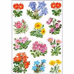 HERMA Decorative labels DECOR mountain flowers 3 sheets, different, 3 pcs