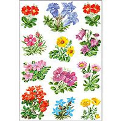 HERMA Decorative labels DECOR mountain flowers 3 sheets étiquette auto-collante