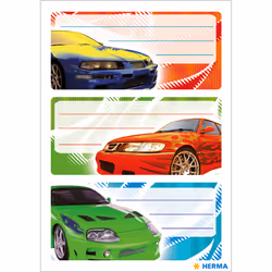 HERMA 5599 étiquette auto-collante Rectangle Permanent Multicolore 9 pièce(s)