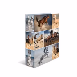 HERMA 7164, A4, Anneau en D, Rangement, Carton, 7 cm, 1 pièce(s)