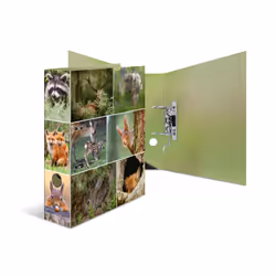 HERMA 7202, A4, Rangement, Carton, Multicolore, 7 cm, 285 mm