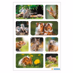 HERMA Rodents adhésif pour enfant