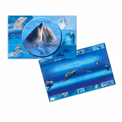 HERMA Sous-main 550 x 350 mm Dauphin, Multicolore, Carton, 550 mm, 350 mm