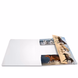 HERMA 19209 fichier Carton Multicolore A4