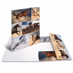 HERMA 19209 fichier Carton Multicolore A4