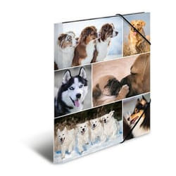 HERMA 19211 fichier Carton Multicolore A4