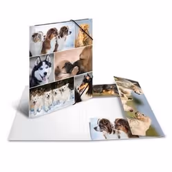 HERMA 19211 fichier Carton Multicolore A4