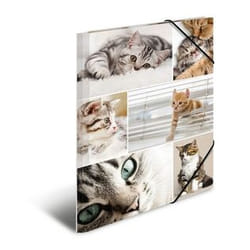 HERMA 19212 fichier Carton Multicolore A4