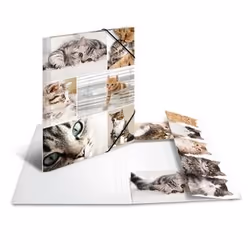HERMA 19212 fichier Carton Multicolore A4