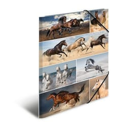 HERMA 19217 fichier Carton Multicolore A3