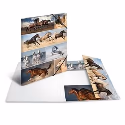 HERMA 19217 fichier Carton Multicolore A3