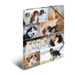 HERMA 19218 fichier Carton Multicolore A3