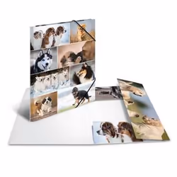 HERMA 19218 fichier Carton Multicolore A3
