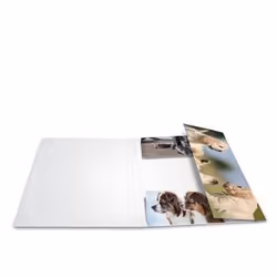 HERMA 19218 fichier Carton Multicolore A3