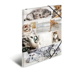 HERMA 19219 fichier Carton Multicolore A3
