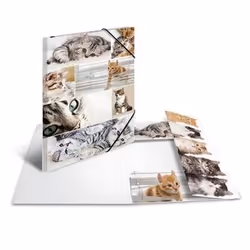 HERMA 19219 fichier Carton Multicolore A3