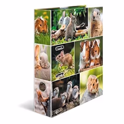 HERMA 19252, A4, Anneau en D, Rangement, Carton, Multicolore, 7 cm