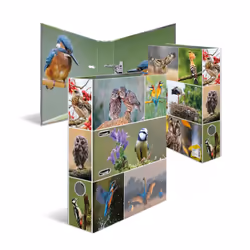HERMA 19254, A4, Anneau en D, Rangement, Carton, Multicolore, 7 cm