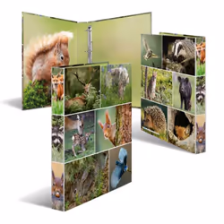 HERMA 19308, A4, Anneau en D, Rangement, Carton, Multicolore, 3,5 cm