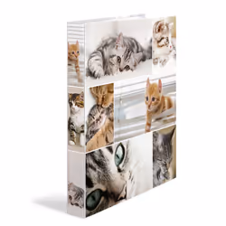 HERMA 19359, A4, Carton, Multicolore, 3,5 cm, 260 mm, 315 mm