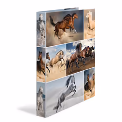 HERMA 19360, A4, Carton, Multicolore, 3,5 cm, 260 mm, 315 mm