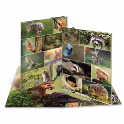 HERMA Sammelmappe A3 Waldtiere, A3, Rangement, Multicolore