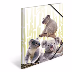 HERMA Famille de koalas