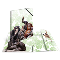 HERMA Bande de singes