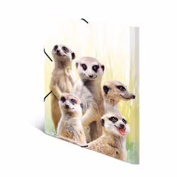 HERMA bande de suricates, Porte-documents, A3, Polypropylène (PP), Multicolore, Papier, Elastique