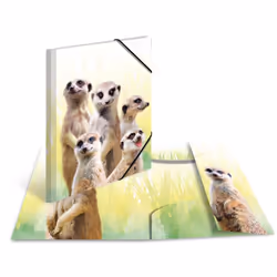 HERMA bande de suricates