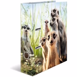 HERMA 20048, A4, Anneau en D, Carton, Multicolore, 7 cm, Foie