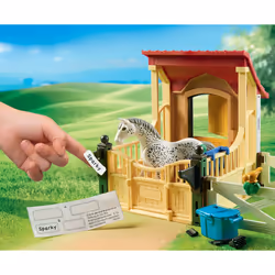 Playmobil Box Avec Cavalière Et Cheval Appaloosa