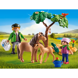 Playmobil Country Vétérinaire avec enfant et poneys