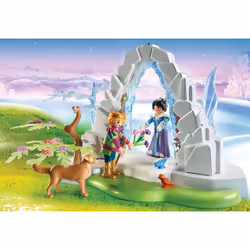 Playmobil Frontière Cristal Du Monde De L'Hiver