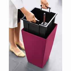 LECHUZA CUBICO Color 30 All-in-One Set Intérieure Kit de plantation en pot Autonome Polypropylène (PP) Blanc