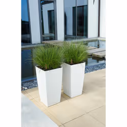 LECHUZA CUBICO Color 30 All-in-One Set Intérieure Kit de plantation en pot Autonome Polypropylène (PP) Blanc - Vue supplémentaire 4
