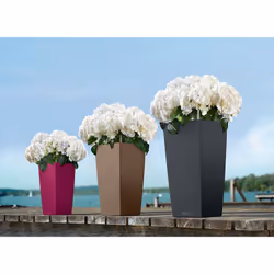 LECHUZA CUBICO Color 30 All-in-One Set Intérieure Kit de plantation en pot Autonome Polypropylène (PP) Blanc - Vue supplémentaire 7