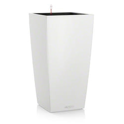 LECHUZA CUBICO Color 40 All-in-One Set Intérieur & extérieur Kit de plantation en pot Autonome Polypropylène (PP) Blanc