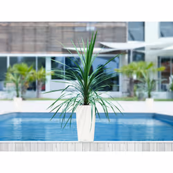 LECHUZA CUBICO Color 40 All-in-One Set Intérieur & extérieur Kit de plantation en pot Autonome Polypropylène (PP) Blanc - Vue supplémentaire 9