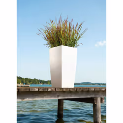 LECHUZA CUBICO Color 40 All-in-One Set Kit de plantation en pot Autonome Polypropylène (PP) Graphite - Vue supplémentaire 4