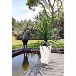 LECHUZA CUBICO Color 40 All-in-One Set Kit de plantation en pot Autonome Polypropylène (PP) Graphite - Vue supplémentaire 9
