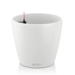 LECHUZA Classico Color 21 Intérieure Kit de plantation en pot Autonome Polypropylène (PP) Blanc
